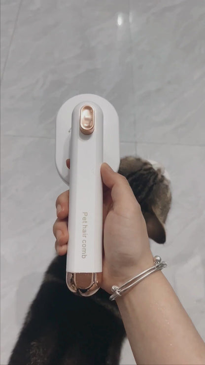 Effektiv & skonsam kattborste med självrengörande funktion